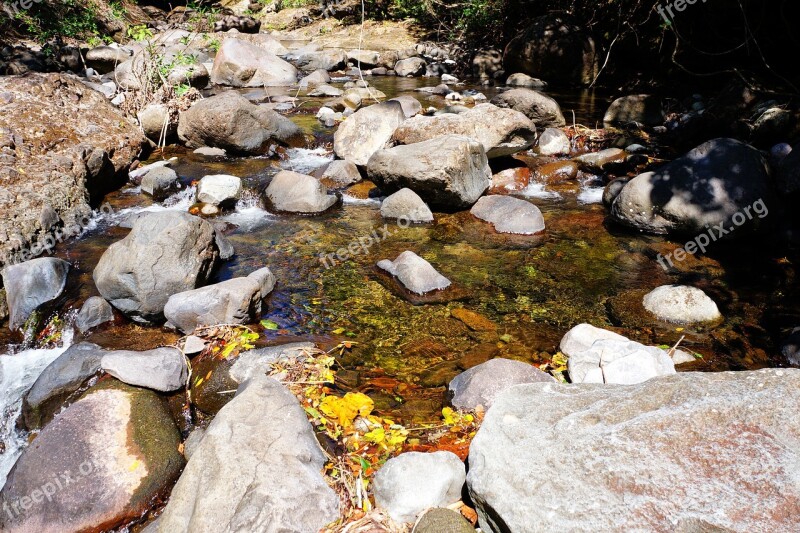 El Salvador The Impossible Forests Rivers Stones