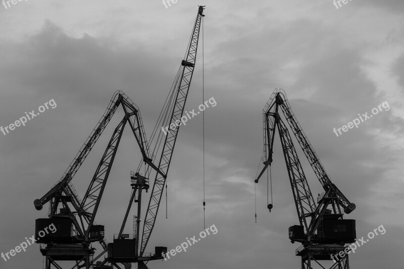 Crane Industry Port Export Silhouette