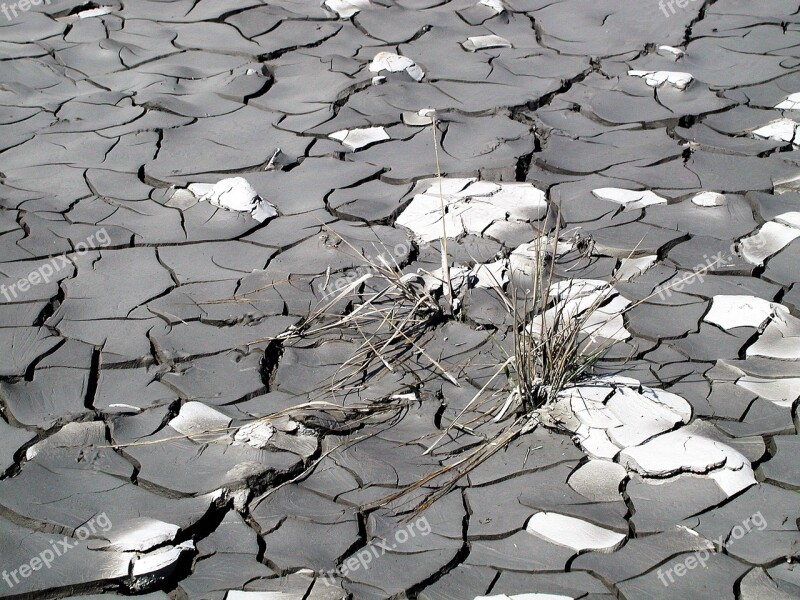 Drought Dry Grass Mud Free Photos