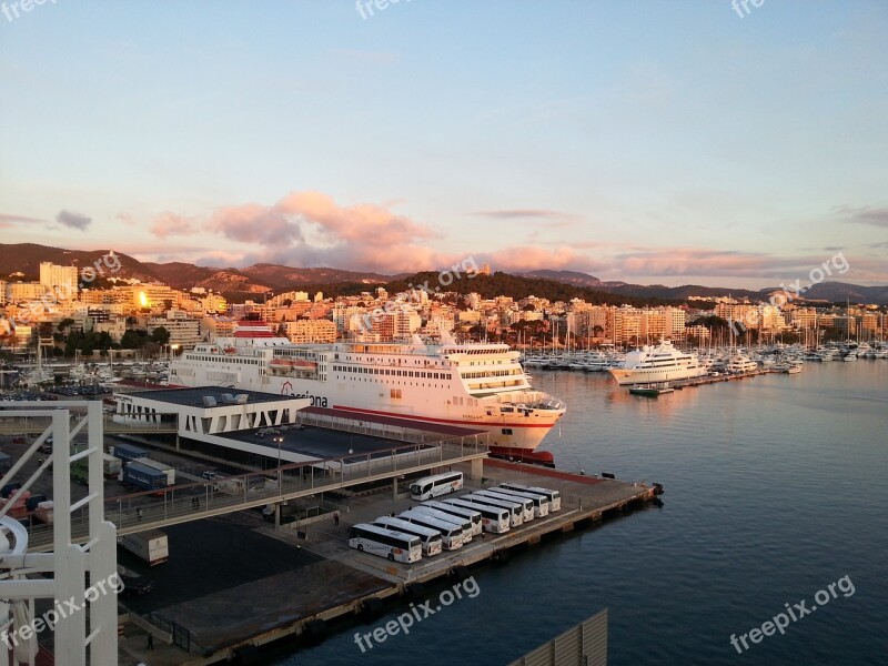 Palma De Mallorca Palma Mallorca Spain Balearic Islands