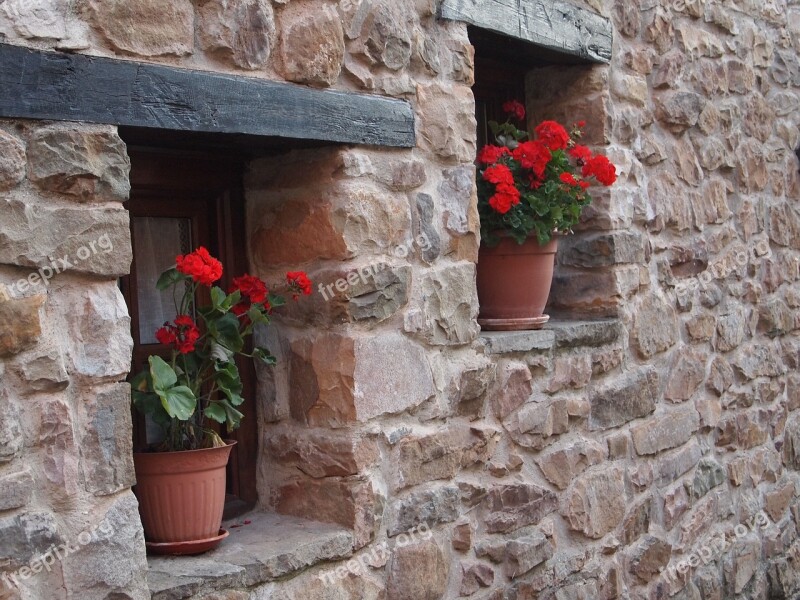 Window Wall Pots Flowers Facade