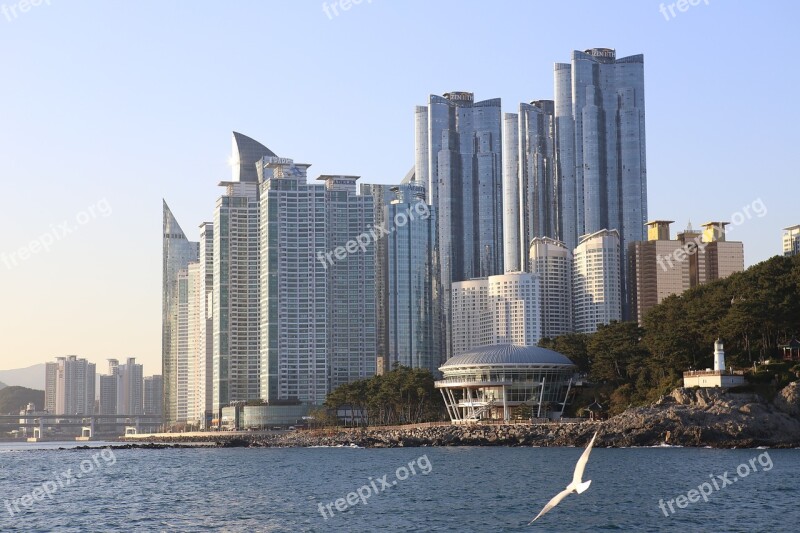 Haeundae Beach Seagull Nuri Flooring Korea High Rise Buildings