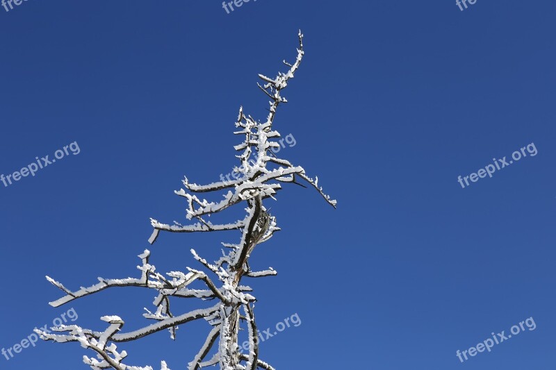 Deogyusan Snow Flower Seolcheonbong Snow Winter