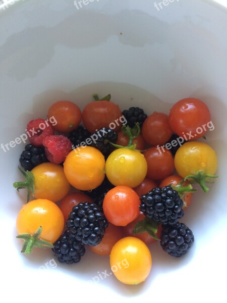 Tomato Berry Harvest Gardening Food