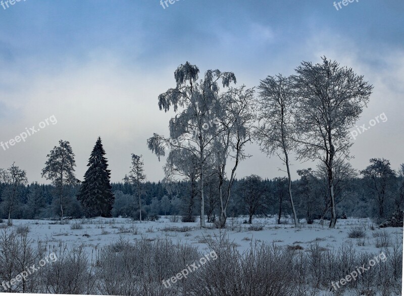 Winter Snow Wintry Snowy White