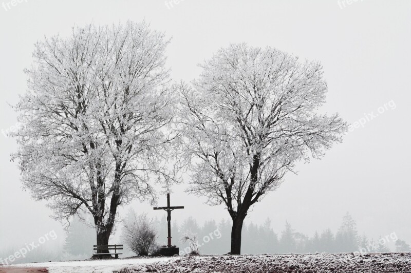 Frost Winter Cold Hoarfrost Wintry