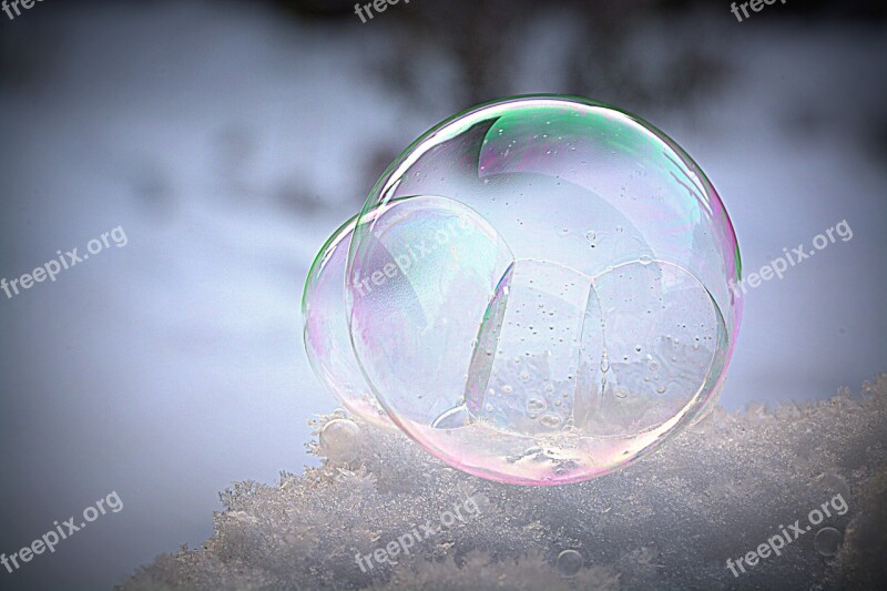 Soap Bubble Frozen Wintry Cold Snow