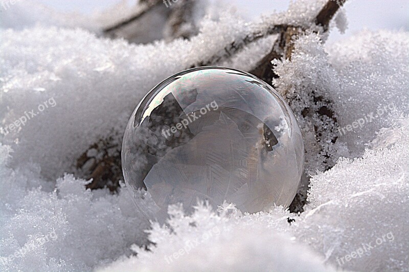 Soap Bubble Frozen Bubble Frozen Wintry Cold