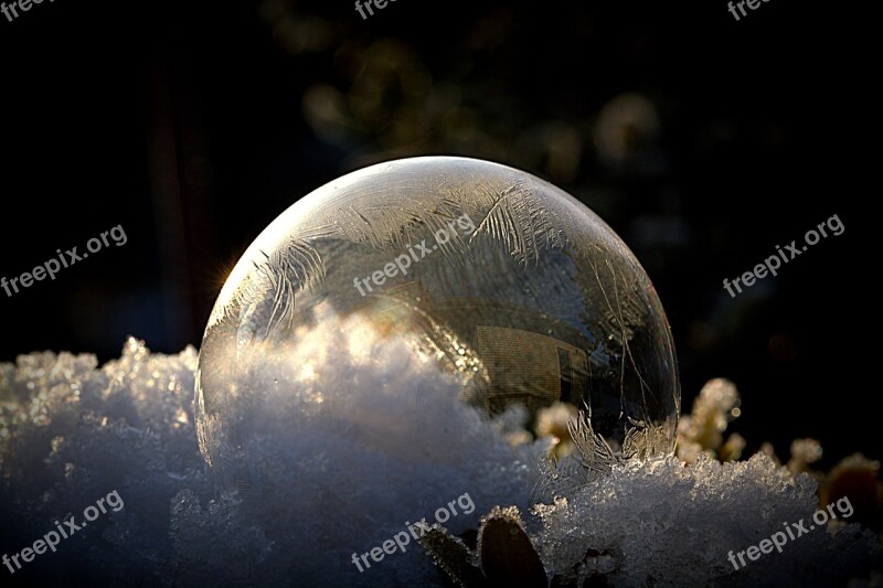 Soap Bubbles Frozen Frozen Bubble Ball Frost Bubble