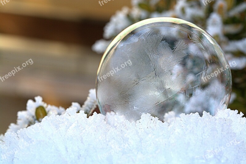 Soap Bubbles Frozen Frozen Bubble Ball Frost Bubble