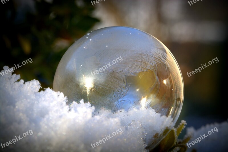 Soap Bubbles Frozen Frozen Bubble Ball Frost Bubble