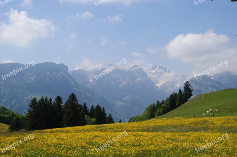 Mountains Mountain Meadow Bergweide Alpine Switzerland