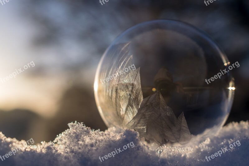 Soap Bubble Frozen Frozen Bubble Winter Eiskristalle