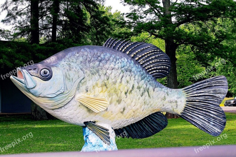 Reelfoot Lake Fish Crappie Statue