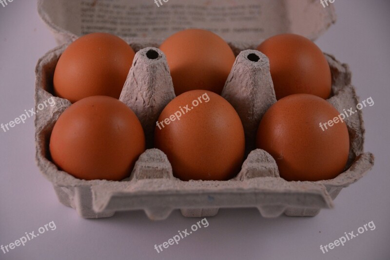 Hen Eggs Kitchen Egg Carton Eat