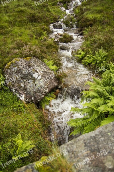 Brooke Water Stream Nature Natural