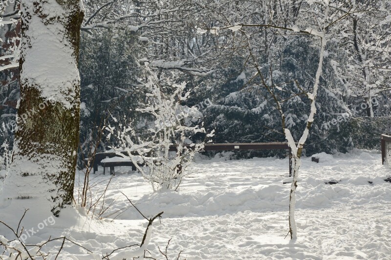 Snow Snowy Landscape Nature Winter Nature