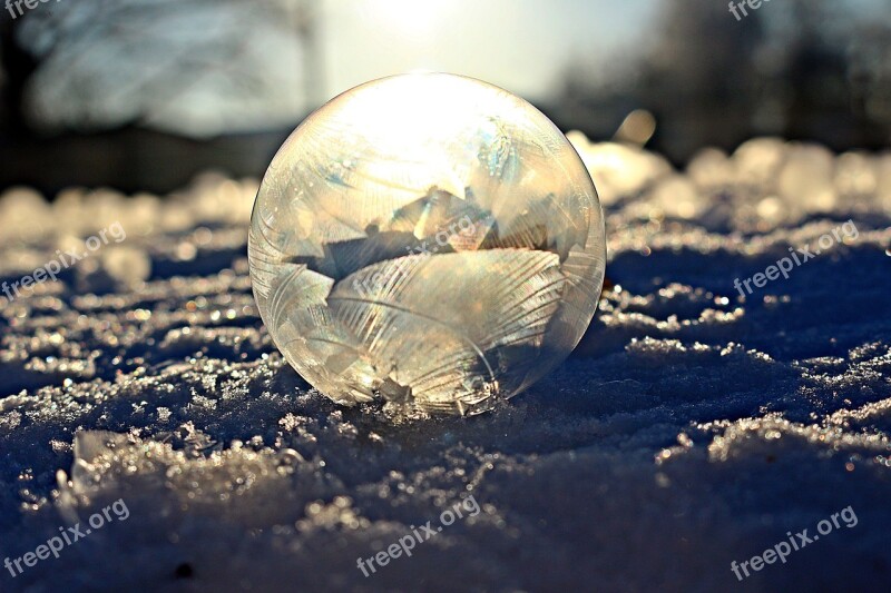 Soap Bubble Eiskristalle Sun Snow Frost