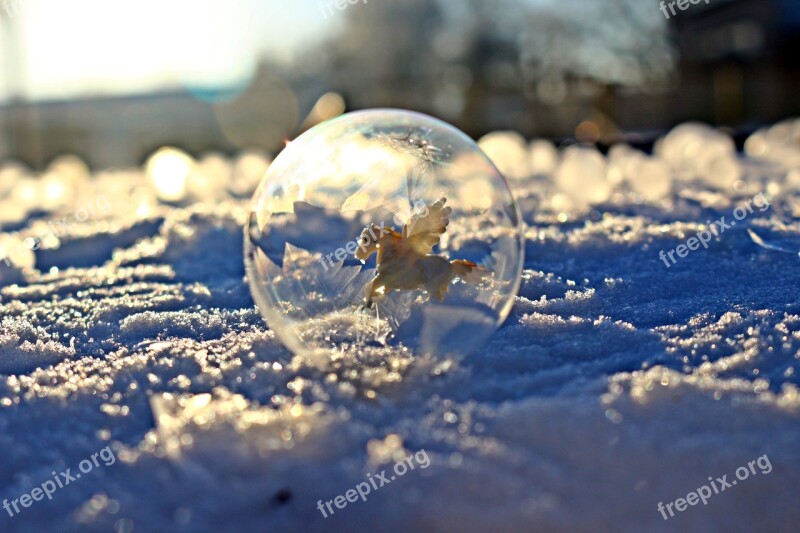 Eiskristalle Ice Bubble Frost Ball Fantasy Pegasus