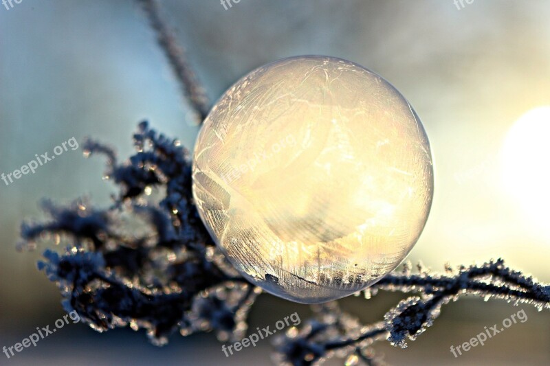 Ice Bubble Soap Bubble Frost Snow Frost Bubble