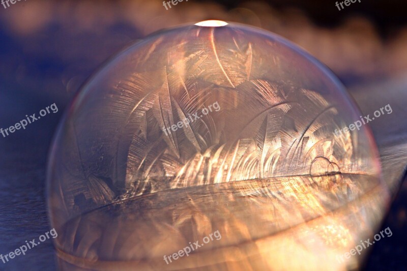 Soap Bubble Frost Bubble Bubble Freeze Winter