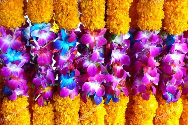 Thailand Flowers Gifts Free Photos