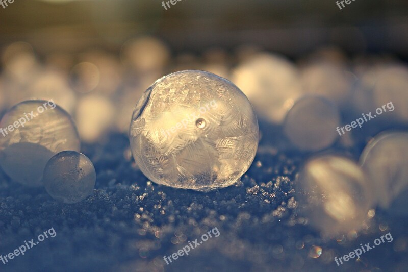 Eiskristalle Soap Bubble Frost Ball Frost Bubble Winter