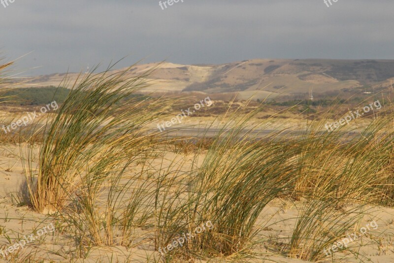 Oyats Beach Walk Dunes Panorama