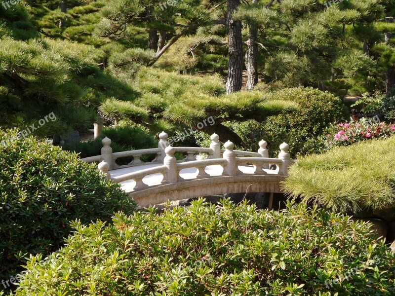 Japanese Garden Bridge Traditional Zen