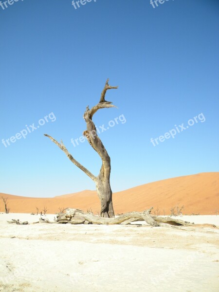 Blue Sky Namibia Namib Sossusvlei