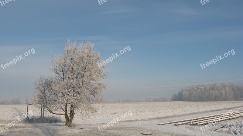 Winter Snow Québec Nature Tree