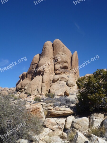 Rock Joshua Tree National Park Outdoors Landscape