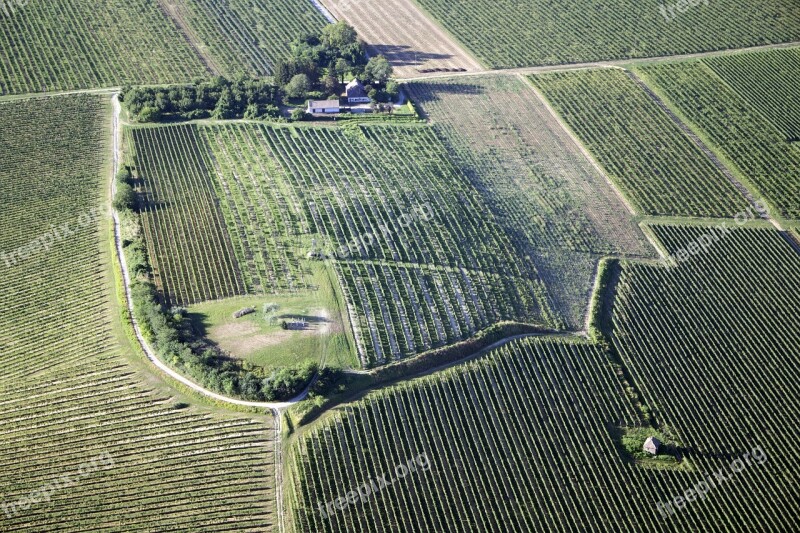 Baranya Villány Grape Göntér House