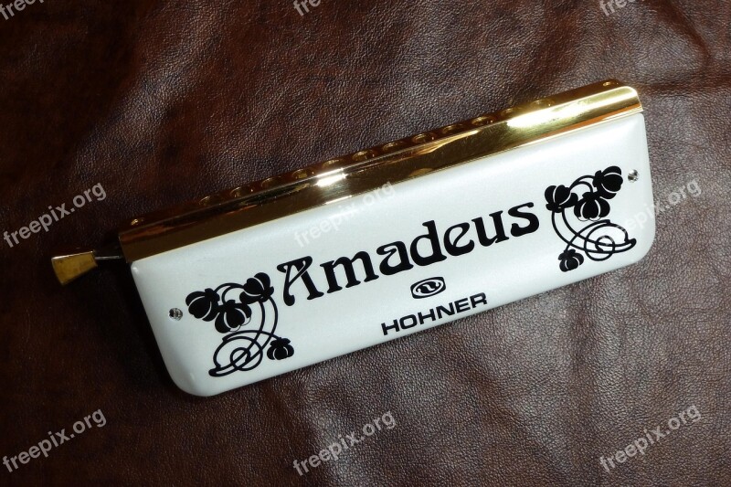 Harmonica White Amadeus Standing Free Photos