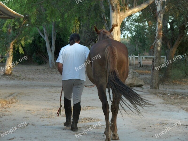 Horse Knight Riding Free Photos