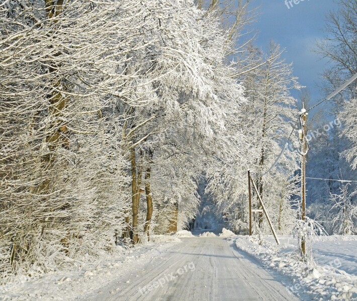 In Winter Forest Snow Snow Load Forest Path Winter Dream