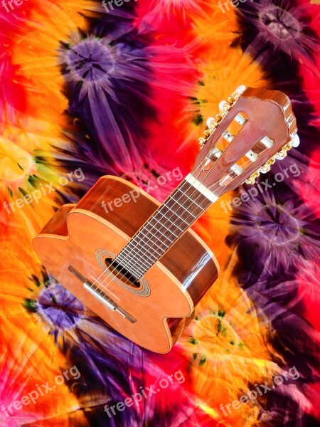 Music Instrument Guitar Acoustic Guitar Musician