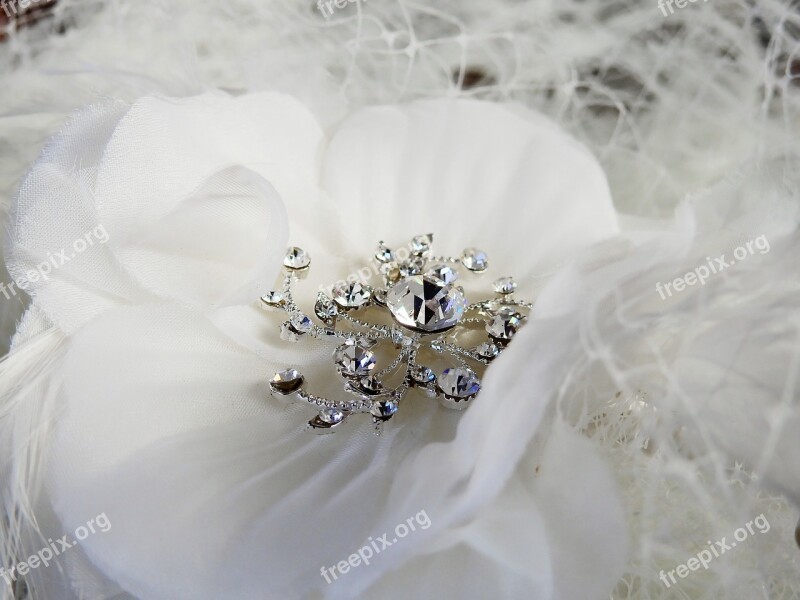 Jewellery Deco Decoration Wedding Marry