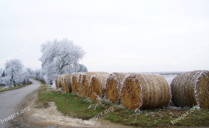 Winter Hoary Rimy Winter Landscape Free Photos