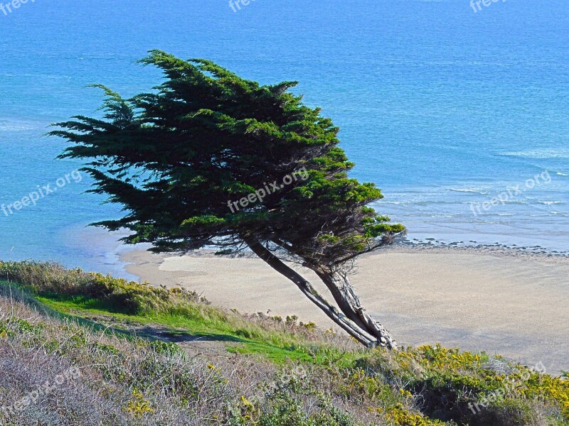 Sea Dune Sand Beach Ocean