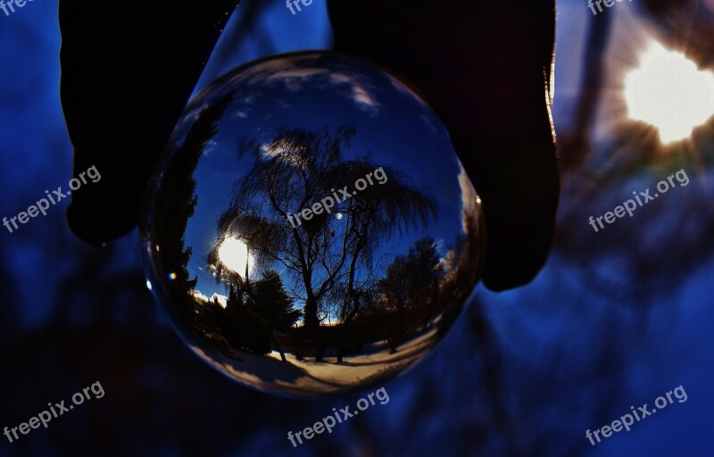 Glass Ball Trees Night Dark Transparent