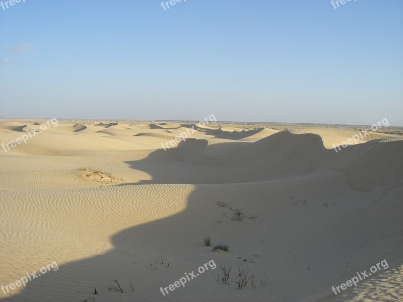 Dune Tunisia Desert Sand Free Photos