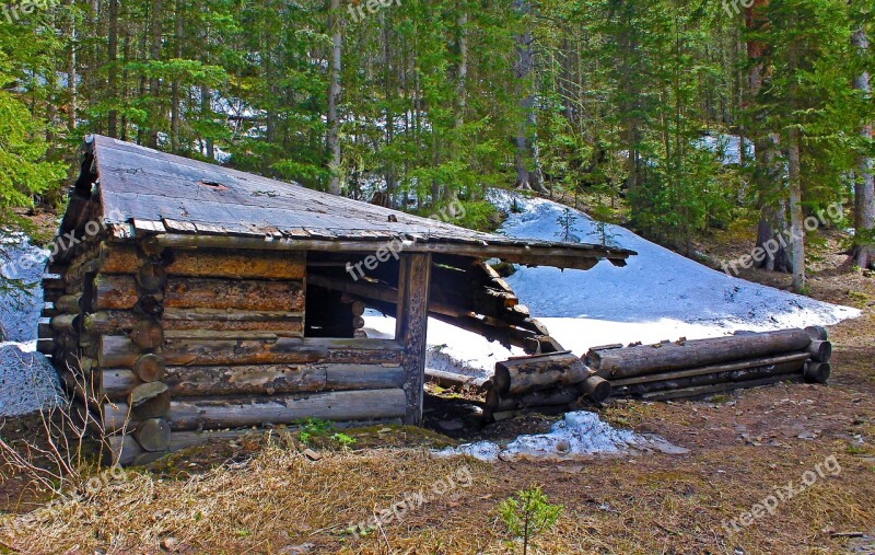 Old Cabin Cabin Dilapidated Homestead Collapsed