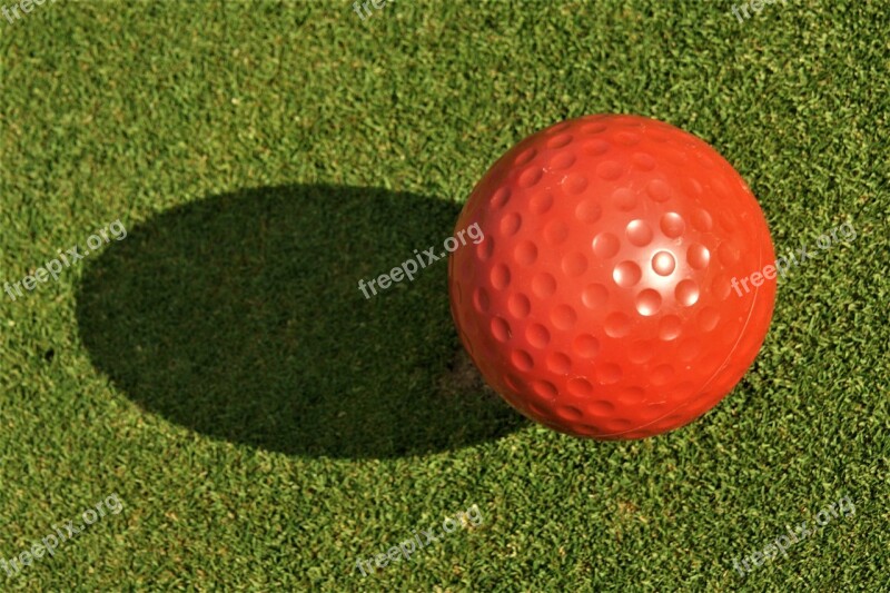 Golf Golf Ball Sport Tee Free Photos