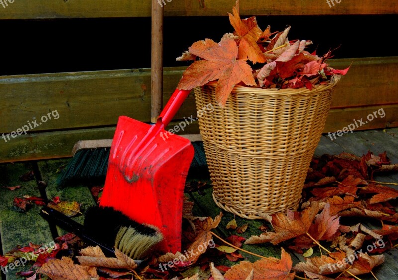 Autumn Leaves Golden Autumn Fall Foliage Leaf