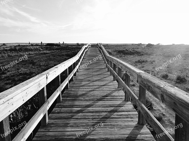 Boardwalk Walkway Path Wooden Footpath