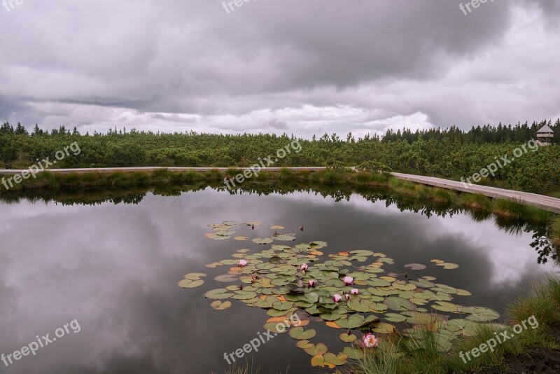 Pond Pohorje Rogla Lovrenc Jezero