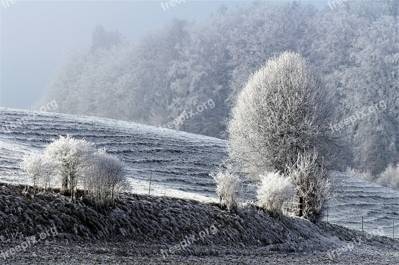 Winter Snow Wintry Snowy Frost