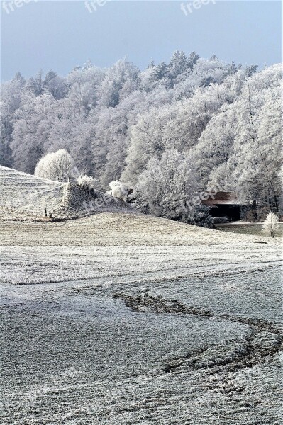 Winter Snow Wintry Snowy Frost