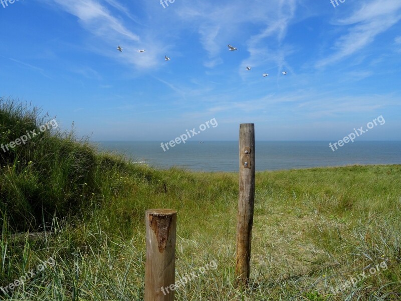 North Sea Beach Dune Dune Grass Outlook